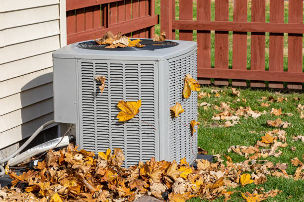 Best Local HVAC Companies  in Olivet, TN